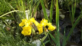 DSCF2212.webp