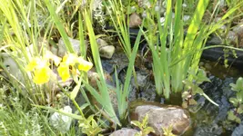 DSCF2213.webp