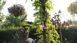 DSCF2215.webp