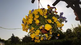 DSCF2219.webp