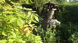 DSCF2222.webp