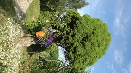 DSCF2228.webp