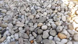 DSCF2229.webp