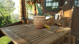 DSCF2227.webp
