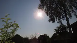 DSCF2234.webp
