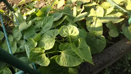 DSCF2244.webp
