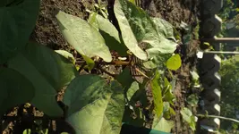 DSCF2245.webp