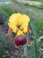 image.webp
