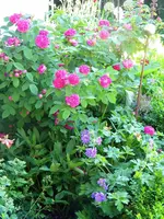 DSCN8905.webp