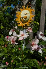 IMG_8720.webp