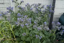 _DSC8320.webp