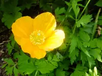 DSCF9460.webp