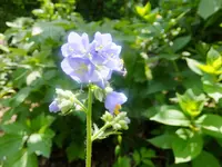 DSCF9457.webp