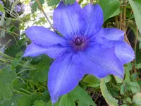 DSCF9444.webp