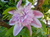 DSCF9006.webp