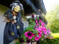 DSCF9018.webp