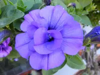 DSCF9022.webp