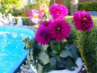 DSCF9024.webp