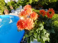DSCF9025.webp