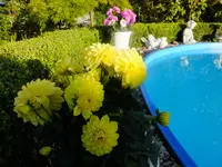 DSCF9026.webp
