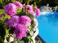 DSCF9030.webp