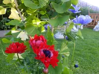 DSCF9035.webp