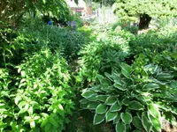 CIMG0438.webp