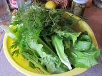 IMG_0988 v (1).webp
