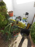 DSCN2477.webp
