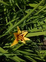 DSCN2486.jpg