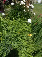 DSCN2487.jpg