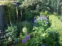 DSCN2472.webp