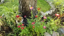 DSCF2334.webp