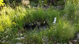 DSCF2337.webp