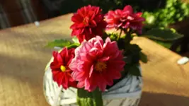 DSCF2339.webp