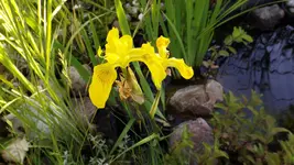 DSCF2340.webp