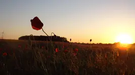 DSCF2358.webp