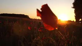 DSCF2360.webp