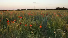 DSCF2362.webp