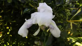 DSCF2345.webp