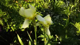 DSCF2347.webp