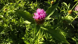 DSCF2350.webp