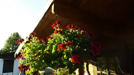 DSCF2354.webp