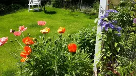 20150605_142732.webp