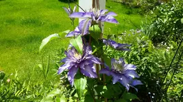 20150605_142747.webp