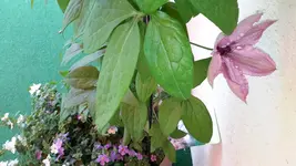 20150605_143038.webp