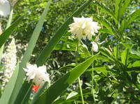 002.webp