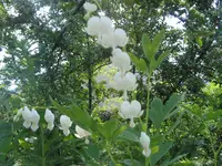 006.webp