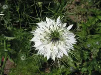 010.webp