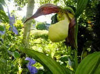 DSCF9123.webp